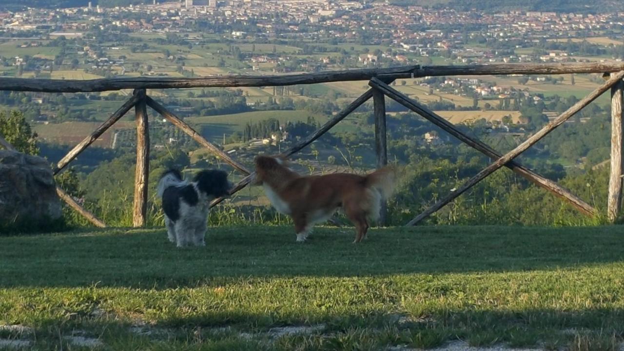 Agriturismo Countryhouse Le Giare Gubbio Exterior photo